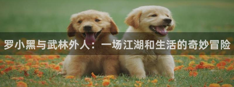 漫画岛app官方应用下载